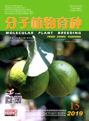 分子植物育种杂志投稿