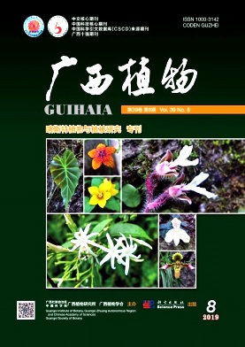 广西植物杂志投稿