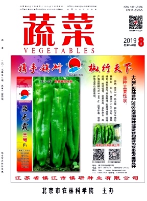 蔬菜杂志投稿