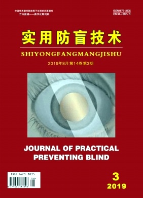 实用防盲技术杂志投稿