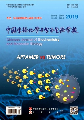 中国生物化学与分子生物学报杂志投稿