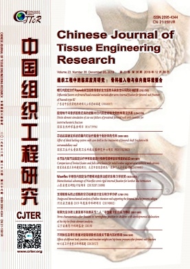 中国组织工程研究杂志投稿