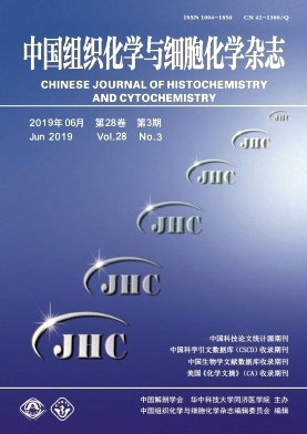 中国组织化学与细胞化学杂志投稿